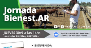 Cómo evaluar el bienestar animal: jornada feedlotera del IPCVA