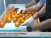 Se inicia con Paraguay la certificación electrónica en el comercio de vegetales