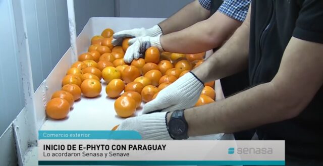 05 - 10 - comercio con Paraguay