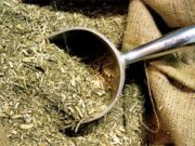 Yerba mate: al cierre de agosto el consumo interno totalizó 189 millones de kilos