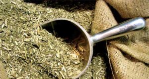 Yerba mate: al cierre de agosto el consumo interno totalizó 189 millones de kilos