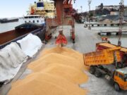 Nuevos récords de ingresos de divisas por agroexportaciones en septiembre