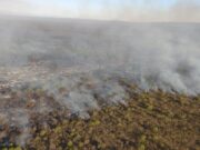 Bomberos y brigadistas siguen combatiendo incendios en el norte provincial