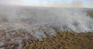 Bomberos y brigadistas siguen combatiendo incendios en el norte provincial