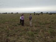 La agroecología avanza en La Pampa