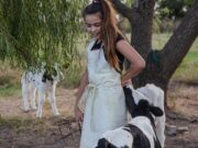 Análisis de costos y precios: la leche aumentó 480% en cinco años