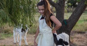 Análisis de costos y precios: la leche aumentó 480% en cinco años