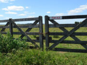 Repunte de la compraventa de inmuebles rurales en septiembre