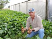 Del 13 al 15 se realizará el II Congreso Argentino de Agroecología