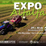 ExpoAlfalfa