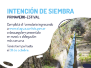 El 31 de octubre finaliza el plazo para presentar el formulario de intención de siembra primavero – estival