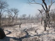 Los incendios en el norte de San Luis están contenidos
