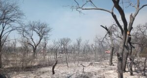 Los incendios en el norte de San Luis están contenidos