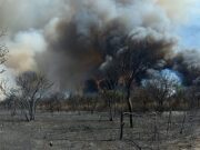 Continúa el combate de incendios forestales en el norte de San Luis