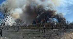 Continúa el combate de incendios forestales en el norte de San Luis