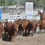 WhatsApp Image 2021-10-05 at 19.13.57 (1)