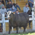 WhatsApp Image 2021-10-05 at 19.13.58 (2)