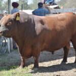 WhatsApp Image 2021-10-05 at 19.14.01 (1)