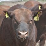 WhatsApp Image 2021-10-05 at 19.14.03 (2)