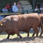 WhatsApp Image 2021-10-05 at 19.14.03 (3)