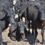 WhatsApp Image 2021-10-07 at 17.28.23