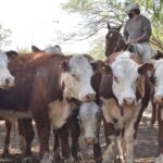 WhatsApp Image 2021-10-07 at 17.28.30 (1)