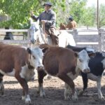 WhatsApp Image 2021-10-07 at 17.28.30