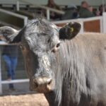 WhatsApp Image 2021-10-07 at 17.28.32