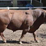 WhatsApp Image 2021-10-07 at 17.28.37