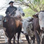 WhatsApp Image 2021-10-07 at 17.28.39 (1)