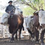 WhatsApp Image 2021-10-07 at 17.28.39