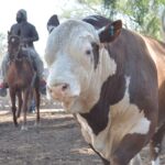 WhatsApp Image 2021-10-07 at 17.28.40