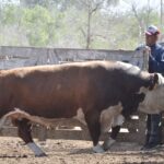 WhatsApp Image 2021-10-07 at 17.28.41