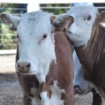 WhatsApp Image 2021-10-07 at 17.29.30