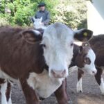 WhatsApp Image 2021-10-07 at 17.29.37 (3)