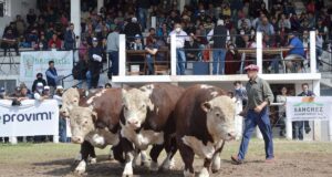 Las mejores fotos de la 74° Exposición Agroganadera de la Sociedad Rural de San Luis