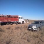 WhatsApp Image 2021-10-14 at 15.25.17