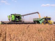 El 72% de los productores considera a las políticas oficiales el factor más negativo para el campo