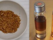 Biocarbones y bioaceites para mejorar la sustentabilidad del agro