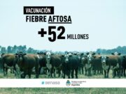 Más de 52 millones de bovinos vacunados contra la aftosa en la primera campaña 2021