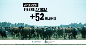 Más de 52 millones de bovinos vacunados contra la aftosa en la primera campaña 2021