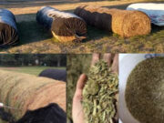 Mejoran el almacenamiento de heno de alfalfa con una manta siliconada de uso industrial