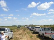 Volvieron a caer las ventas de camionetas rurales por falta de oferta