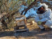 Ganadoras del concurso fotográfico Mujeres rurales en movimiento