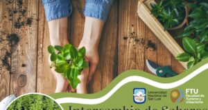 Jornada de «Intercambio de Saberes, Semillas y Plantines» en la Villa de Merlo