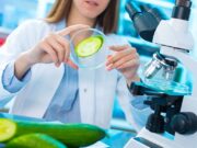 San Luis: aprobaron la creación de la Licenciatura en Bromatología