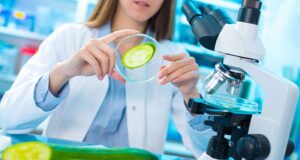 San Luis: aprobaron la creación de la Licenciatura en Bromatología