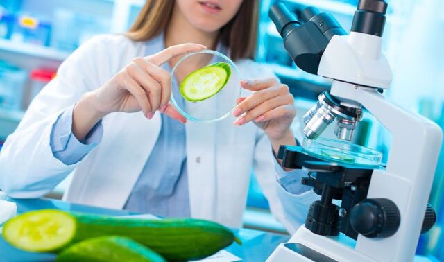 IMG-bromatologia