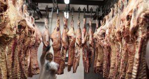 En octubre bajaron 25% las exportaciones de carne vacuna
