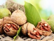 Experta en nueces de California entregará información valiosa a los productores en ExpoNut 2021